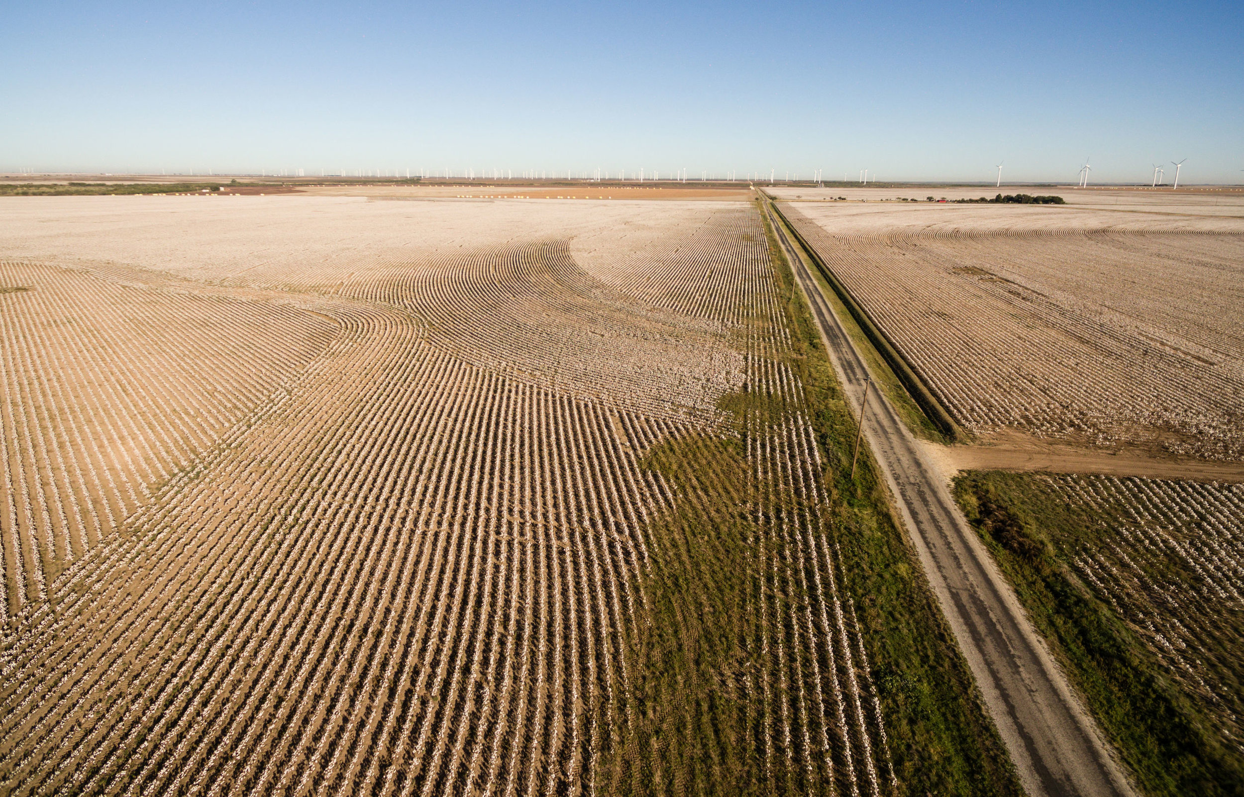 Cotton Plantation Green Energy Farm Field Wind Power Generation