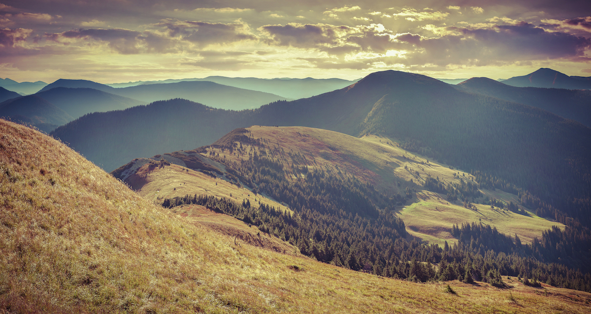 Colorful autumn landscape in mountains