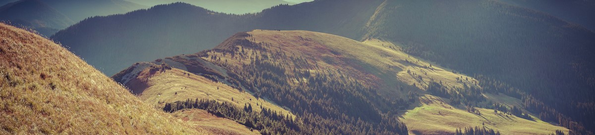 Colorful autumn landscape in mountains